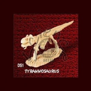 공룡뼈발굴(티라노사우르스) 공룡뼈발굴,티라노사우르스