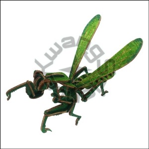 DIY 입체 곤충 퍼즐(사마귀)-32pcs